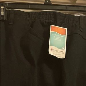 ❤️‼️PRICE DROP‼️JEANS BRAND NEW Women Plus Size Lee Jeans. Size 22P.  Black ❤️